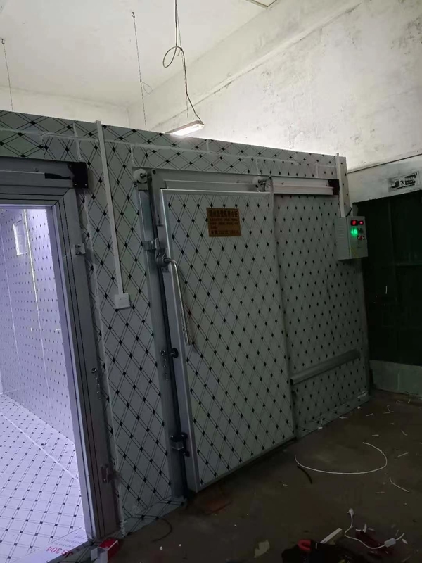 स्वचालित नियंत्रण प्रणाली के साथ मछली और मांस फ्रीजिंग के लिए कस्टम शीत भंडारण कक्ष