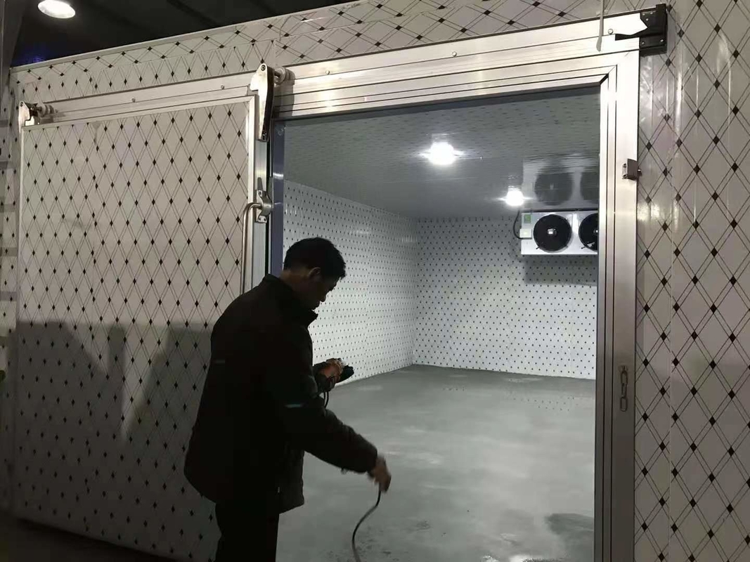 स्वचालित नियंत्रण प्रणाली के साथ मछली और मांस फ्रीजिंग के लिए कस्टम शीत भंडारण कक्ष