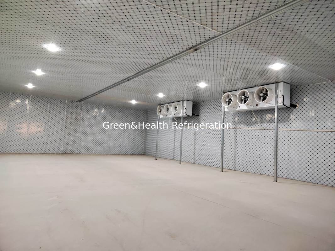 मांस और समुद्री भोजन के लिए ऊर्जा-इंसुलेशन और टिकाऊ पैनलों के साथ कोल्ड स्टोरेज रूम