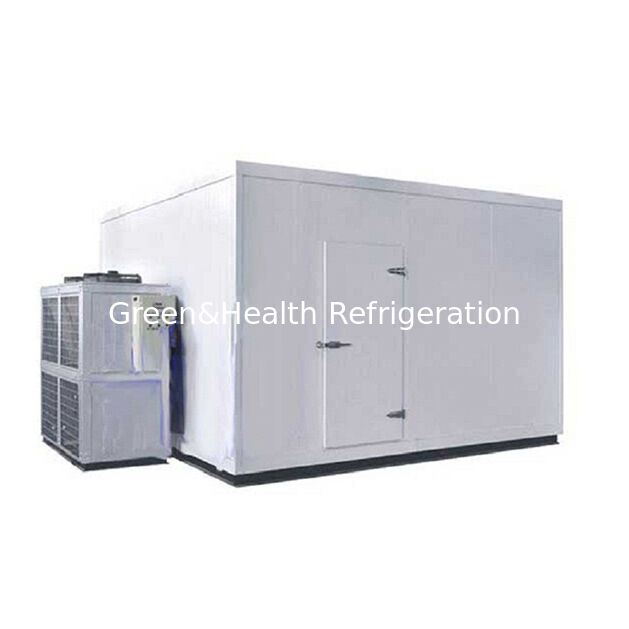 सुपरमार्केट बड़े वाणिज्यिक पैमाने पर जमे हुए कोल्ड स्टोरेज कोल्ड रूम में खाद्य उत्पादों का भंडारण