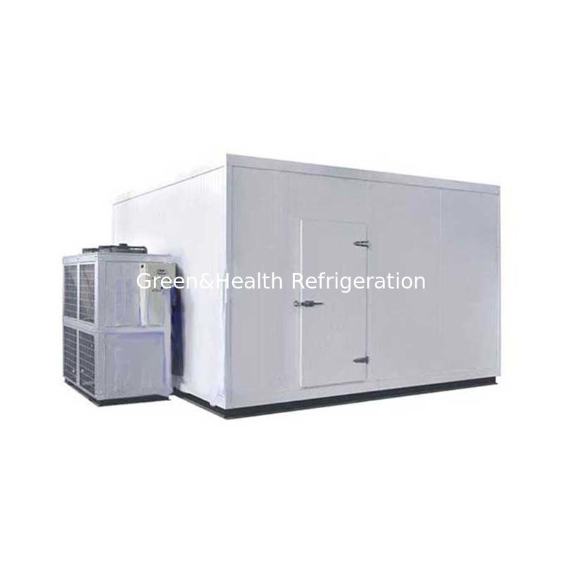 Industrial Motorized Insulated PU Sandwich Panel Sliding Supermarket Cold Room Door for Cold Stores or RefContainer