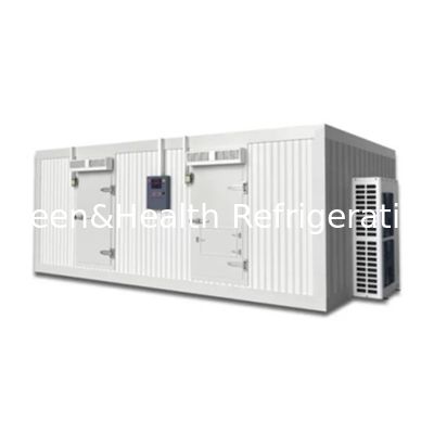 गोमांस और मांस के लिए अनुकूलन योग्य शीत भंडारण कक्ष