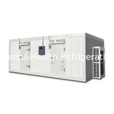 उच्च प्रदर्शन वाले पीयू पैनलों के साथ ऊर्जा कुशल शीत भंडारण कक्ष