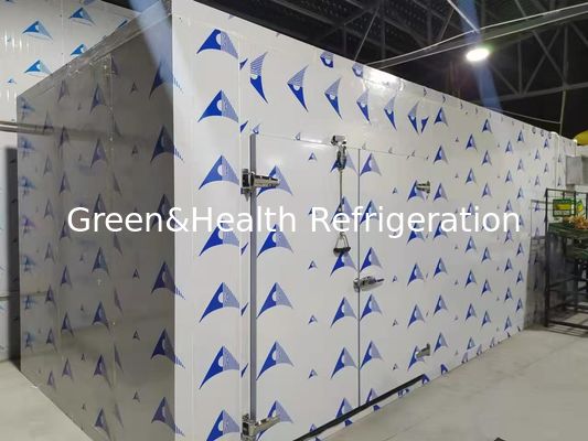 उच्च प्रदर्शन वाले पीयू पैनलों के साथ ऊर्जा कुशल शीत कक्ष