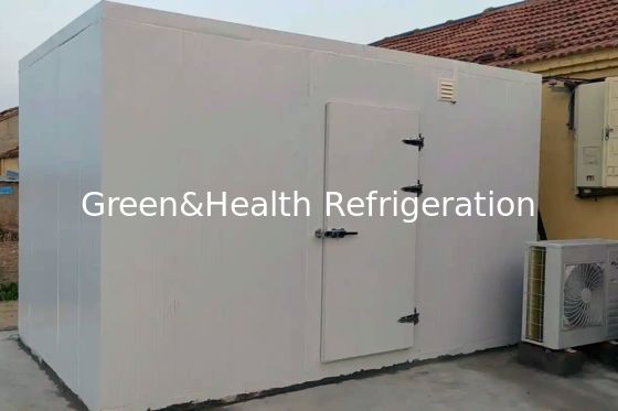 आपके व्यावसायिक आवश्यकताओं के लिए PU इन्सुलेशन पैनल और एयर कूलर इवेपोरेटर मछली भंडारण फ्रीजर