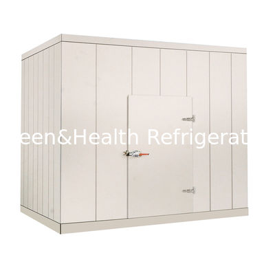 वेजिटेबल मीट सीफूड के लिए चिल्लर रूम में 220V / 380V कमर्शियल वॉक